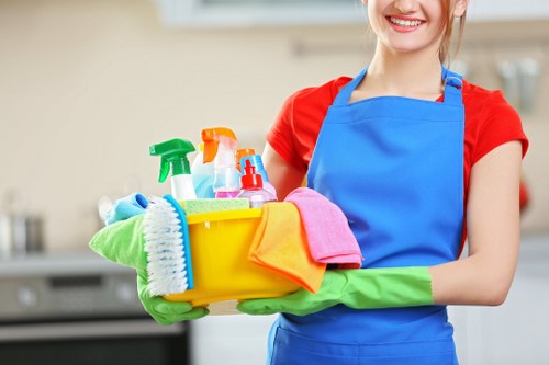 Service terms and conditions introduction for a UK service agreement