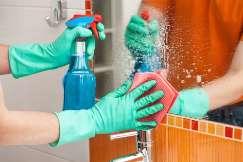 Routine vacuuming and carpet maintenance at home