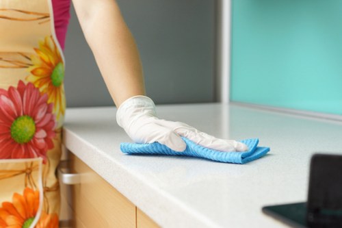 Kitchen and appliance deep cleaning in Fulham apartment