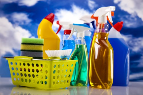Mattress cleaning routine with vacuuming and bedding removed