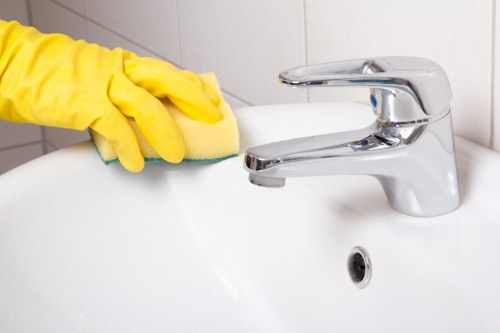 Professional oven cleaning process in a modern kitchen