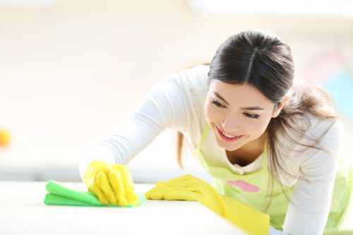 Weekly house cleaning in a tidy kitchen