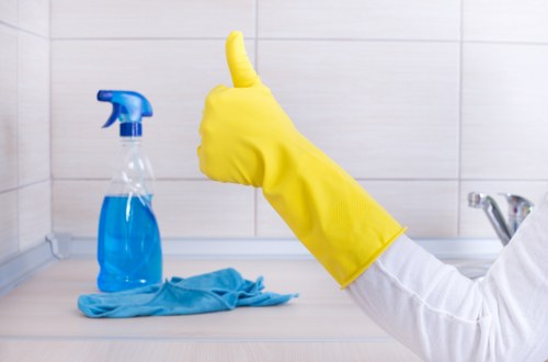 Liability and customer responsibilities in service terms