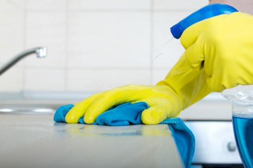 Thorough home deep cleaning in Fulham with professional tools