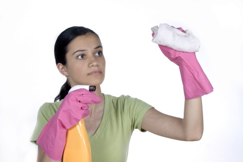 Detailed move out cleaning checklist for an empty apartment