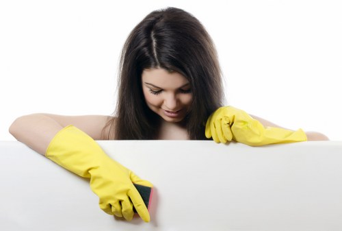 Professional domestic cleaning tools arranged for home care