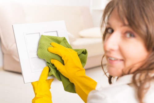 Deep domestic cleaning tasks for a tidy household